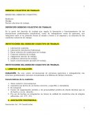 DERECHO COLECTIVO DE TRABAJO. BASES DEL DERECHO COLECTIVO
