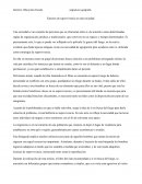 Métodos de supervivencia en una sociedad