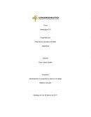 Gerencia del talento humano. Metalúrgica S.A