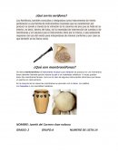 ¿Qué son los aerófonos?