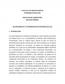 RECONOCIMIENTO Y DETERMINACIÓN DE MACROMOLÉCULAS
