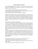 Un Proceso de Negocios o método de negocio es una colección de tareas relacionadas que abordan un aspecto específico en una organización para satisfacer las necesidades de clientes externos e internos.