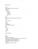 Metodo Burbuja matlab