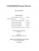 DIARIO PLAZA DE MERCADO