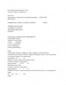 ESTRATEGIA /EVIDENCIAS DE APRENDIZAJE