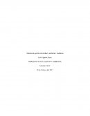 Una auditoria se puede definir como una actividad sistemática, independiente y documentada, cuyo objetivo es obtener evidencias ara evaluar y determinar el grado de cumplimiento de los criterios de auditorías, las cuales corresponden a las políticas y