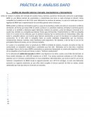 PRÁCTICA 4: ANÁLISIS DAFO