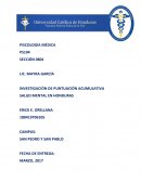 INVESTIGACIÓN DE PUNTUACIÓN ACUMULATIVA SALUD MENTAL EN HONDURAS