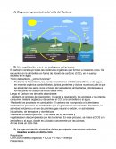 Calentamiento global. Ciclo del carbono, ¿cómo funciona?