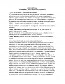 ENSAYO FINAL ENFERMERÍA, DESARROLLO Y CONTEXTO