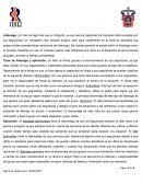 Liderazgo. Un líder es algo más que un dirigente