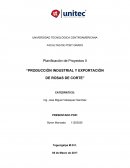 Producción industrial y exportación de rosas de corte