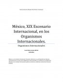 México, XIX Escenario Internacional, en los Organismos Internacionales