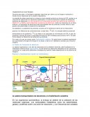 TRANSPORTE DE ELECTRONES
