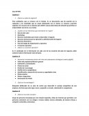 Guia APYME Capítulo 4 ¿Qué es un plan de negocios?