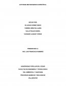 Metanogenesis especifica