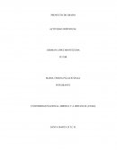 PROYECTO DE GRADO ACTIVIDAD INDIVIDUAL