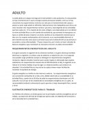 REQUERIMIENTOS ENERGETICOS DEL ADULTO