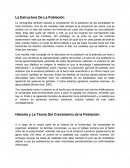 La Estructura De La Población