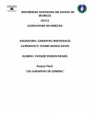 Ensayo Final: “LAS GARANTIAS EN GENERAL”