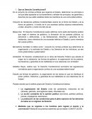 Que es Derecho Constitucional?