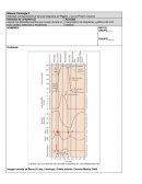 Actividad correspondiente al tema de diagrama de Wiggers y Curva Presión volumen