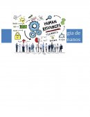 Reporte Ejecutivo Empresa Muffler Magic