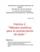 MÉTODOS ANALÍTICOS PARA LA CARACTERIZACIÓN DE LÍPIDOS