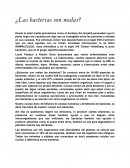 ¿Las bacterias son malas?