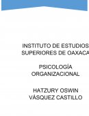 Hoy en día existe una carencia de entendimiento psicológico-social dentro de las propias empresas, esta ayuda al mejoramiento de las mismas organizaciones