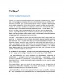 ENSAYO ESPÍRITU EMPRENDEDOR