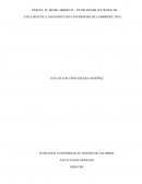 En su libro Ética Práctica, capítulo 10 "El Medio Ambiente"