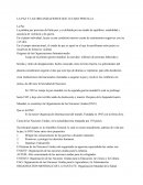 LA PAZ Y LAS ORGANIZACIONES QUE LUCHAN POR ELLA