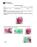 Observa la imagen del objeto tecnológico, luego completa las actividades que aparecen a continuación