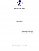 Investigacion de mercado Caso Clorox