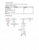 Arreglos desordenados, insertar, borrar y mostrar el arreglo ya modificado