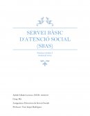 El treball realitzat es basa en l’anàlisi i presentació d’un Servei Bàsic d’Atenció Social (SBAS) dels Serveis Bàsics del territori de Catalunya.