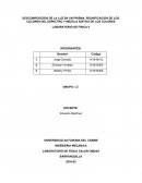 DESCOMPOSICION DE LA LUZ EN UN PRISMA, REUNIFICACION DE LOS COLORES DEL ESPECTRO Y MEZCLA ADITIVA DE LOS COLORES