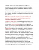 Impactos del cambio climático sobre la fauna del páramo