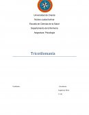 Tricotilomania (TTM)