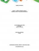 NOMENCLATURA Y FUNCIONES ORGÁNICAS