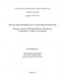 PRACTICAS DEL DESPLIEGUE EN LA INGENIERIA DE SOFTWARE