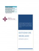 Para haber logrado obtener los resultados que muestran los estados financieros se realizó un estudio previo a la constitución y decisión de varios aspectos como fueron su nombre, que artículos venderíamos y que precios serían los adecuados para que