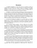 Sistema digestivo. La glándula submaxilar