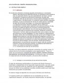 APLICACION DEL DISEÑO ORGANIZACIONAL