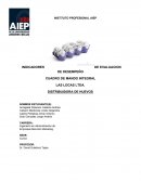 INDICADORES EVALUACION DE DESEMPEÑO LAS LOCAS LTDA. DISTRIBUIDORA DE HUEVOS