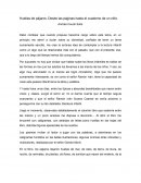 Huellas de pájaros: Desde las páginas hasta el cuaderno de un niño