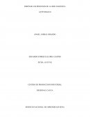 Conceptualización. 1.- Que es un proceso productivo?