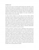 El estado de Oaxaca cuenta con una amplia variedad de productos típicos tradicionales