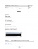 Ejercicios de programacion basica